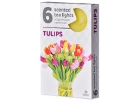 Čajové 6ks Tulips vonné svíčky