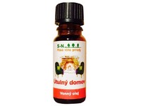 Olej vonný Útulný domov 10 ml