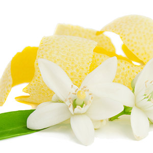 Lemon Grass