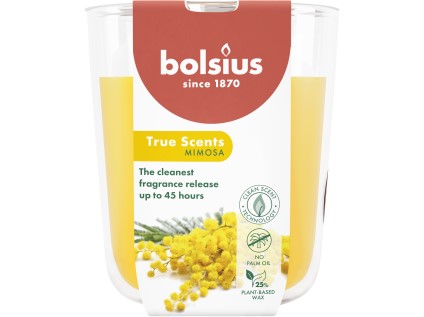 45247-45247 101924940356