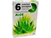 Čajové sviečky 6 ks Aloe