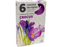 Čajové sviečky 6 ks Crocus