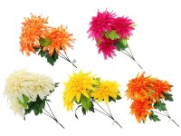 Chryzantéma 3 květy  mix barev