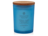 VONNÁ SVÍČKA CHESAPEAKE BAY CANDLE CONFIDENCE & FREEDOM STŘEDNÍ