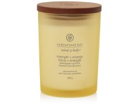 VONNÁ SVÍČKA CHESAPEAKE BAY CANDLE STRENGTH & ENERGY STŘEDNÍ