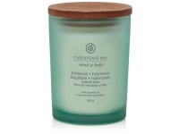 VONNÁ SVÍČKA CHESAPEAKE BAY CANDLE BALANCE & HARMONY STŘEDNÍ