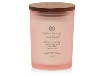 VONNÁ SVÍČKA CHESAPEAKE BAY CANDLE STILLNESS & PURITY STŘEDNÍ