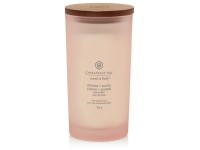 VONNÁ SVÍČKA CHESAPEAKE BAY CANDLE STILNESS & PURITY VELKÁ