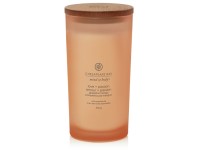 VONNÁ SVÍČKA CHESAPEAKE BAY CANDLE LOVE & PASSION VELKÁ