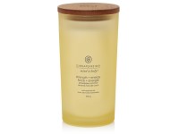 VONNÁ SVÍČKA CHESAPEAKE BAY CANDLE STRENGTH & ENERGY VELKÁ