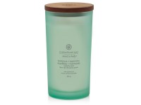 ILLATGYERTYA CHESAPEAKE BAY CANDLE BALANCE & HARMONY NAGY