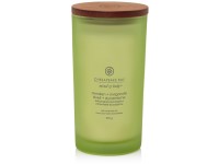 ILLATGYERTYA CHESAPEAKE BAY CANDLE AWAKEN & INVIROGATE NAGY