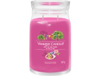 YANKEE CANDLE ART IN THE PARK SIGNATURE NAGY