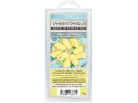 HOME INSPIRATION LEMON-LIME POPSICLE VONNÝ VOSK