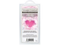 YC.HI vosk/Bubble Time