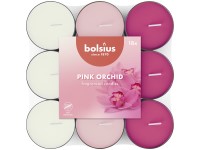 Bolsius Čajové 18ks Pink orchid basic tříbarevné, vonné svíčky