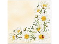 Ubrousky 20ks Bunch of Marguerites 33x33 cm