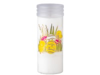 Cint. vklad 165g kuriatka ~2,5 dňa biela liata