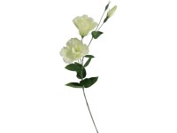 Umelé kvety, plast 780mm eustoma, krémová