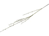 800 mm-es barkaág, natúr