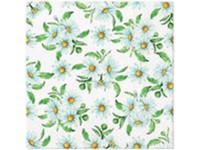 Obrúsky 20ks Chamomile Print 33x33 cm