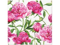 Obrúsky 20ks Pink peonies 33x33 cm