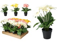 Művirágok 300x300x310mm, gerbera cserépben, vegyes színekben