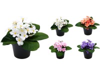 Művirágok 200x200x150mm, lila cserépben, vegyes színekben