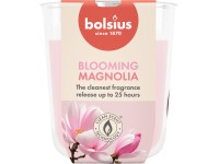 Bolsius True Scents illatgyertya 73x80mm, Magnolia