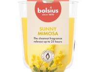 Bolsius True Scents illatgyertya 73x80mm, Mimosa