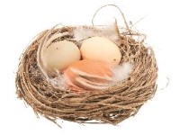 Hniezdo s vajíčkami 70 mm