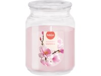 Bolsius Sklo 100x135 mm so skleneným viečkom True Scents Magnolia, vonná sviečka