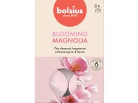 Bolsius Čajové 6ks True Scents Magnolia, vonné sviečky