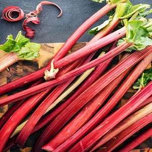 Rhubarb & Pepper