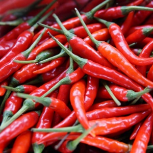 Chilli Pepper Gelato