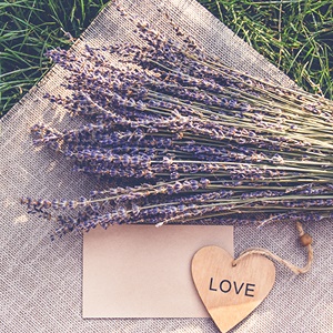 Lavender & Cedar