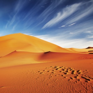 Gilded Sands