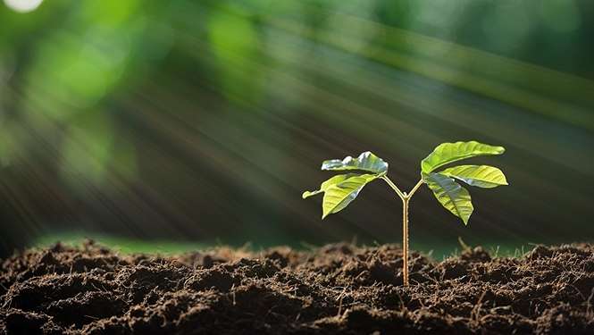 Illat az energiáért