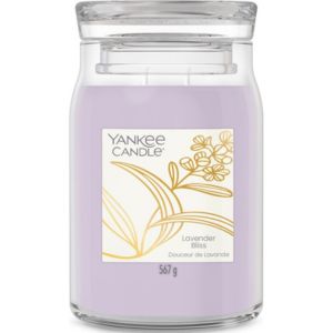 Lavender Bliss