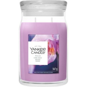 Wild Orchid