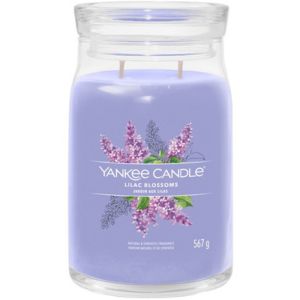 Lilac Blossom