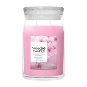 Enchanting Cherry Blossoms