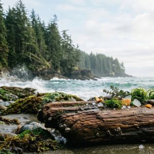 Cedarwood & Ocean Moss