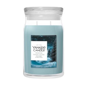 Winter Night Stars